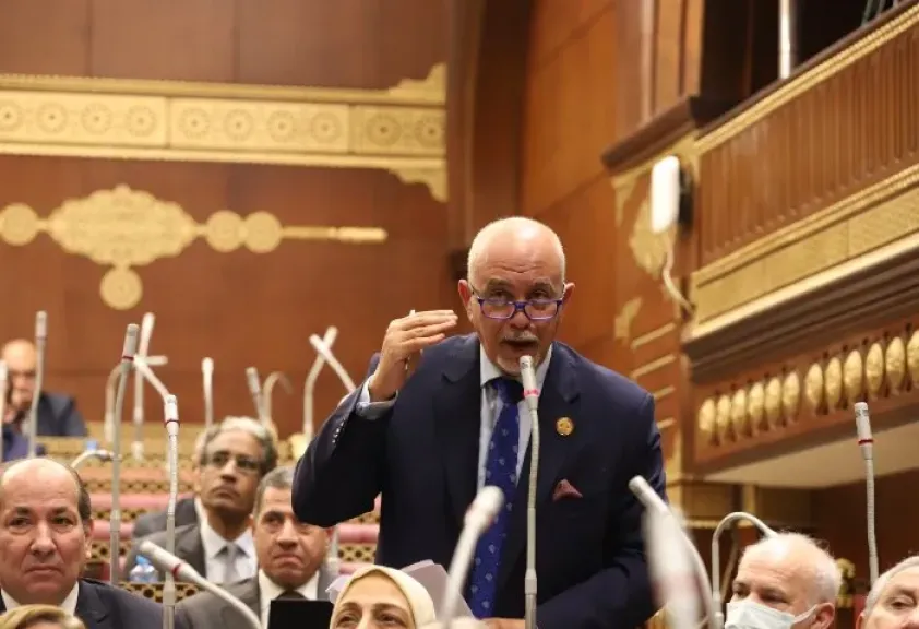 النائب حازم الجندي