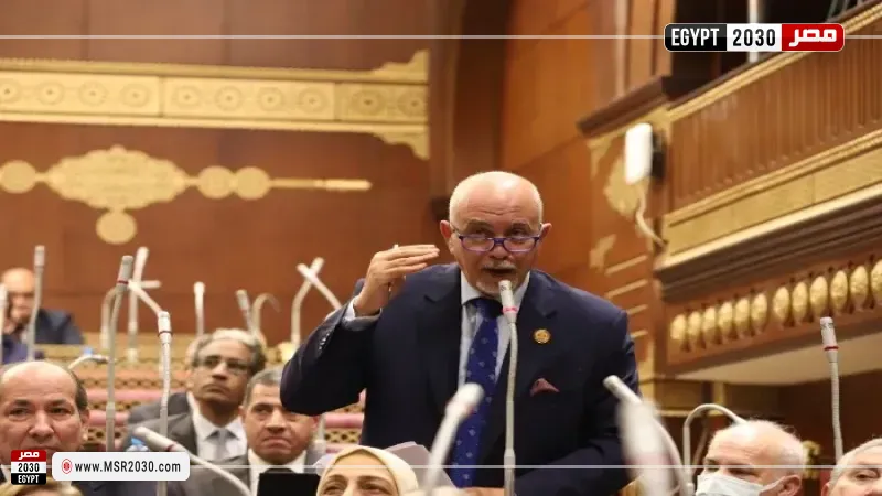 النائب حازم الجندي