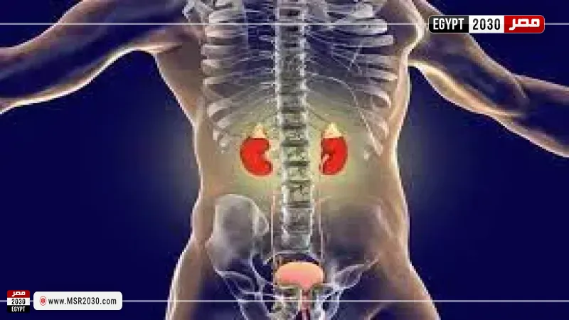 سرطان الكلى 