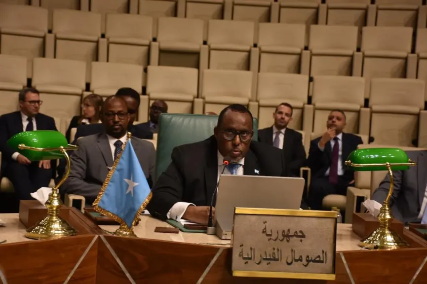 مندوب الصومال بالجامعة العربية