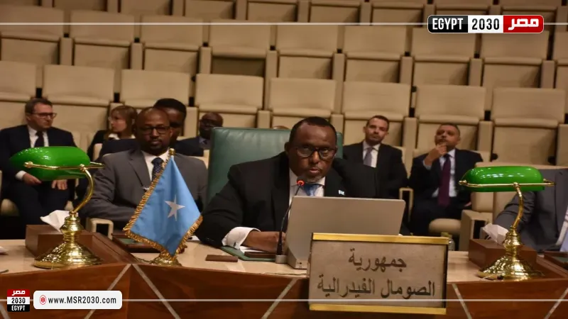 مندوب الصومال بالجامعة العربية