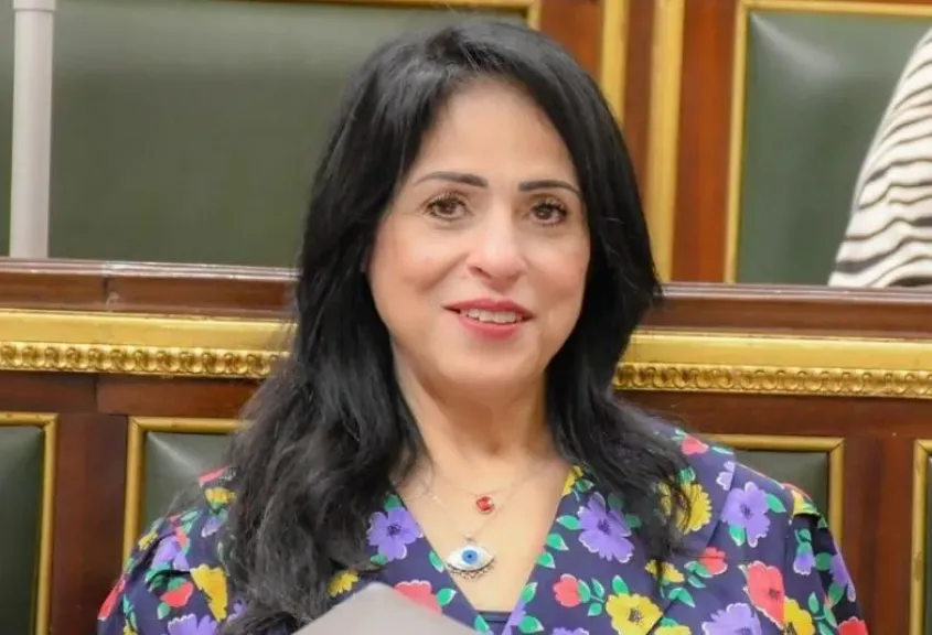 النائبة ميرال الهريدي