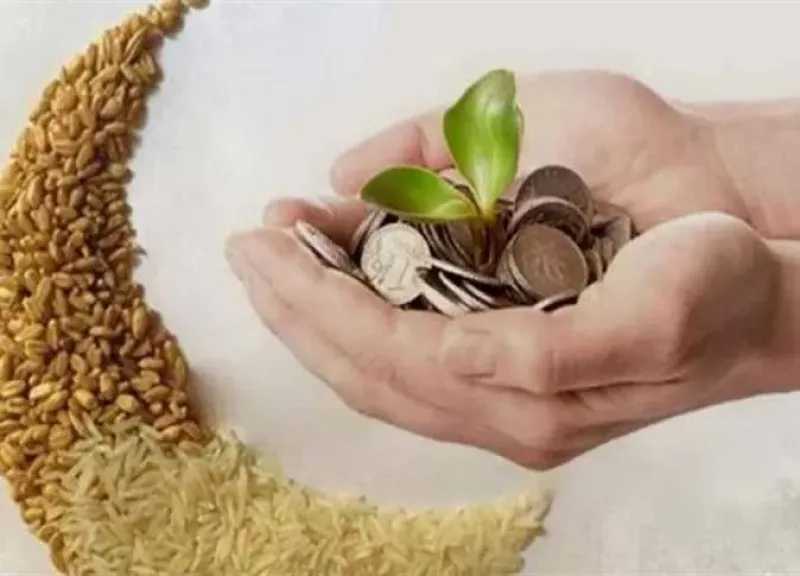 الإفتاء توضح حكم دفع الزكاة للأخت الفقيرة