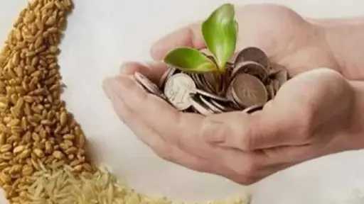 الإفتاء توضح حكم دفع الزكاة للأخت الفقيرة