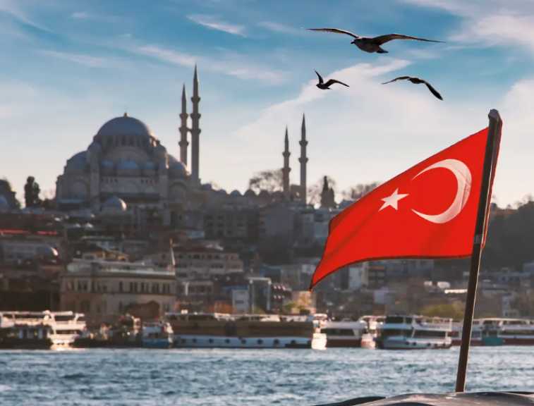 الرئاسة التركية تحذّر من معلومات مضللة بشأن عملية أمنية ضد «داعش» في يالوا