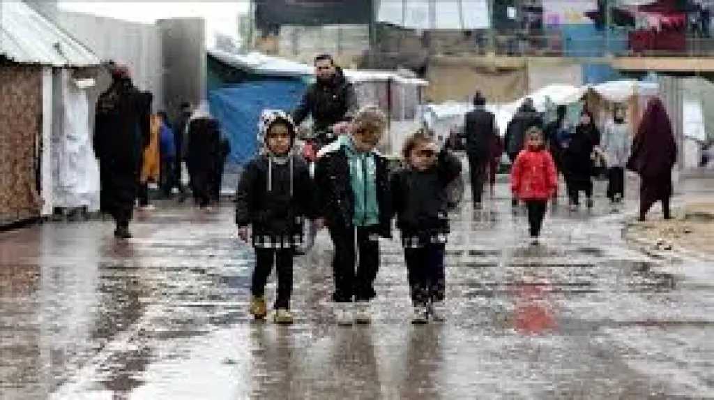 «الدفاع المدني» بغزة: 25 شهيد بينهم أطفال نتيجة الانهيارات والبرد القارس