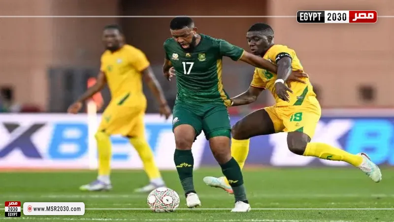 جنوب إفريقيا زيمبابوي