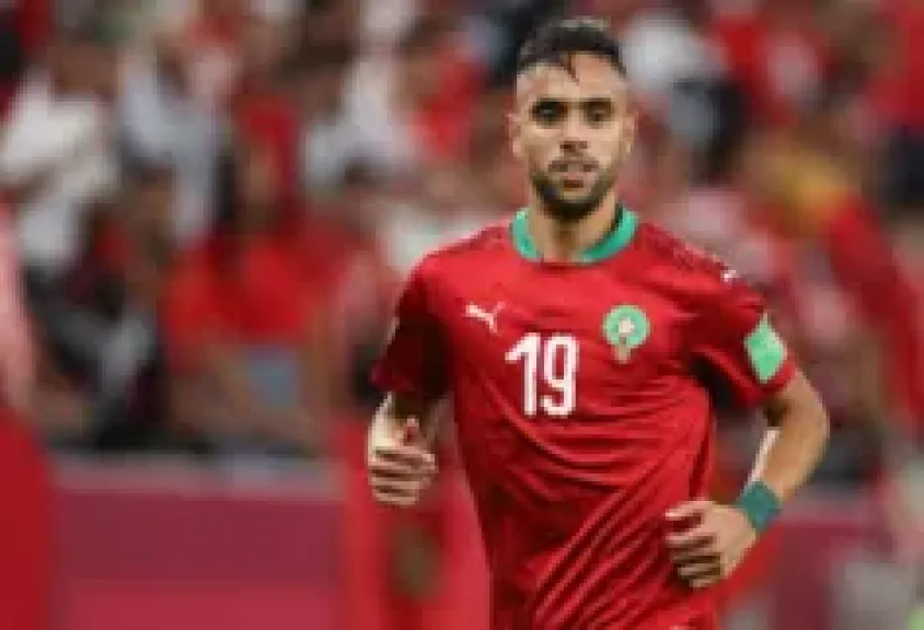 محمد الشيبي
