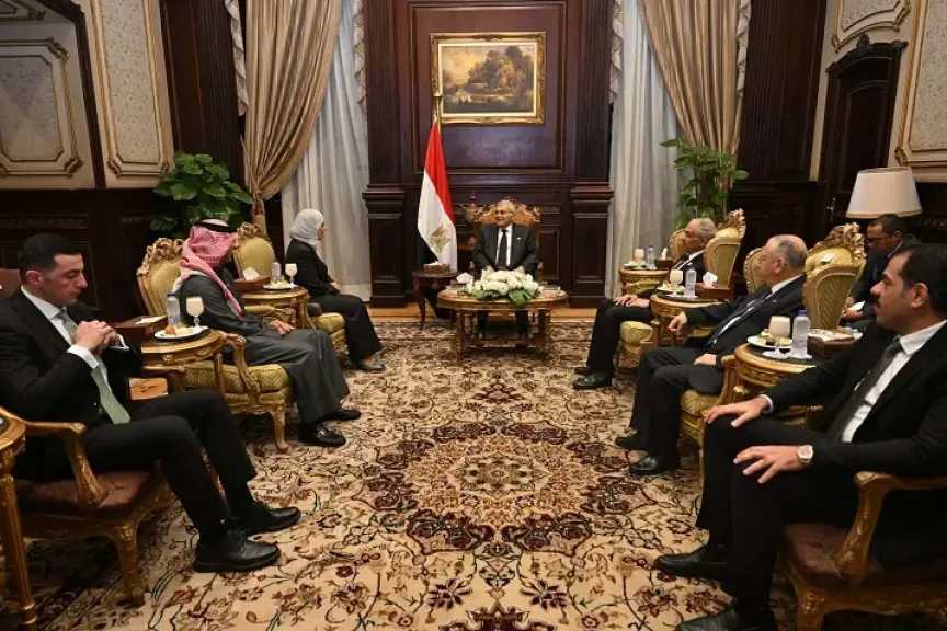 رئيس مجلس الشيوخ يلتقي سفيرة البحرين بالقاهرة