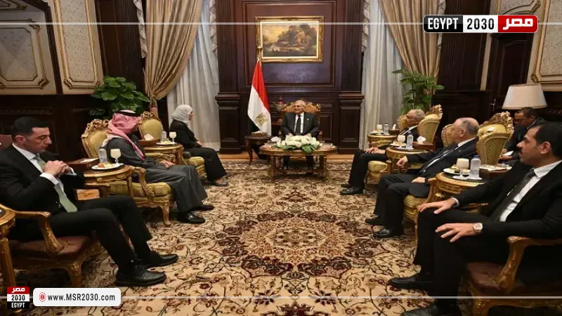 رئيس مجلس الشيوخ يلتقي سفيرة البحرين بالقاهرة