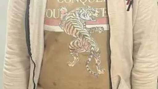 ضبط صانع محتوى لابتزاز العائلات والتشهير بهم بالدقهلية