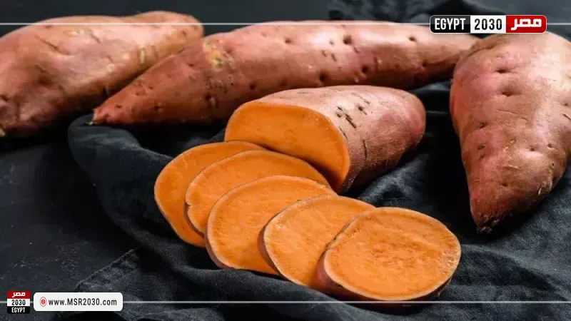 مصر 2030