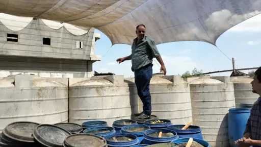 مصادرة 7 أطنان مخللات مجهولة المصدر وبدون بيانات... مصادرة 7 أطنان مخللات مجهولة المصدر وبدون بيانات ويشتبه بعدم صلاحيتها في الغربية