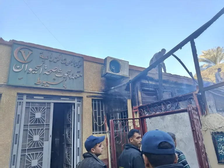  حريق بمديرية الطب البيطري بأسيوط