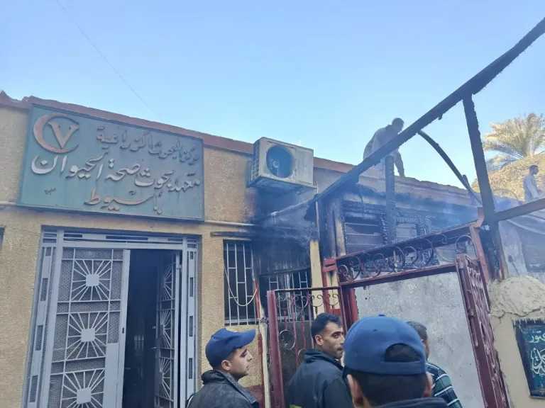 السيطرة على حريق بمديرية الطب البيطري بأسيوط