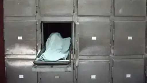 تفاصيل مصرع طالب وإصابة اثنين دهسًا بسيارة مسرعة في شبرا الخيمة