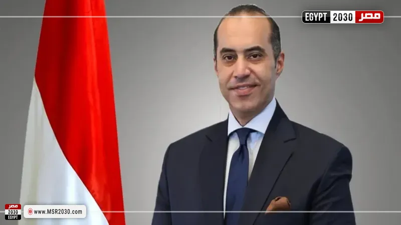 المستشار محمود فوزي، وزير الشئون النيابية والقانونية