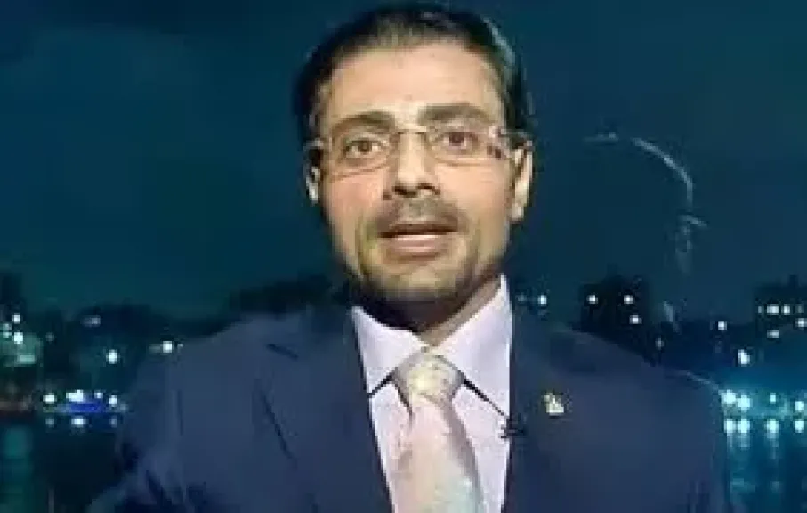 محمد أنيس، الخبير الاقتصادي