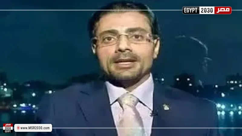 محمد أنيس، الخبير الاقتصادي
