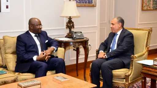 وزير الخارجية يستقبل رئيس البنك الأفريقي للتصدير والاستيراد وزير الخارجية يستقبل رئيس البنك الأفريقي للتصدير والاستيراد