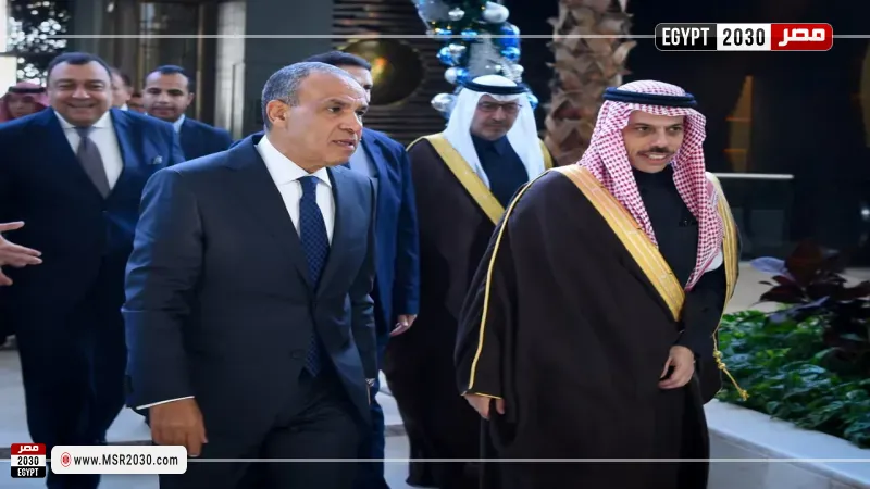 وزير الخارجية ونظيره السعودي