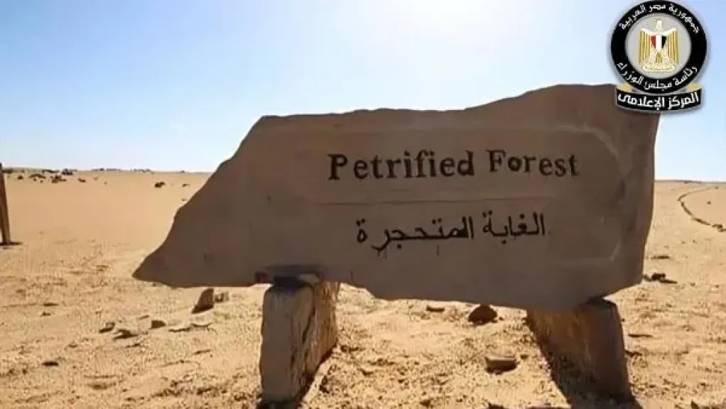 الغابة