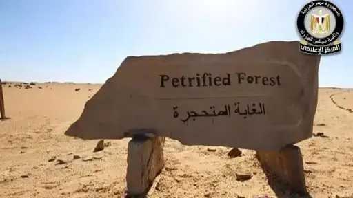 الوزراء يوضح حقيقة التعدي على الأشجار المتحجرة في... الوزراء يوضح حقيقة التعدي على الأشجار المتحجرة في محمية التجمع