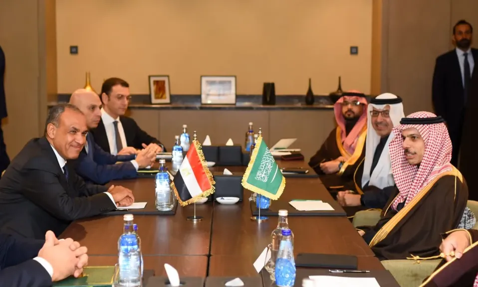 وزير الخارجية ونظيره السعودي