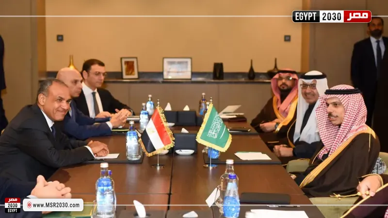 وزير الخارجية ونظيره السعودي