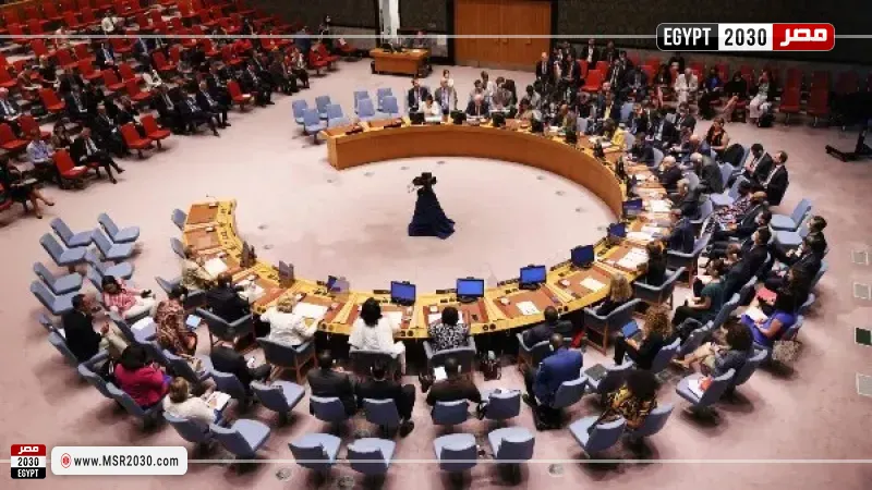 مجلس الأمن الدولي