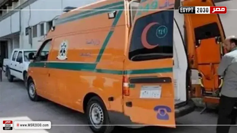 ضبط شاب ذبـ.ح زوجة أبيه في المنوفية