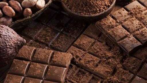 مزارعو الكاكاو في كوت ديفوار يأملون في تعزيز الإنتاج بفضل الأمطار غير الموسمية