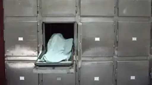 مصرع مبيض محارة سقط من علو فى الحميدية بالدقهلية