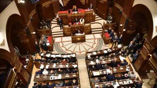 عضو بالشيوخ: التحركات المصرية تجاه قضايا المنطقة تعكس رؤية سياسية متوازنة وحكيمة