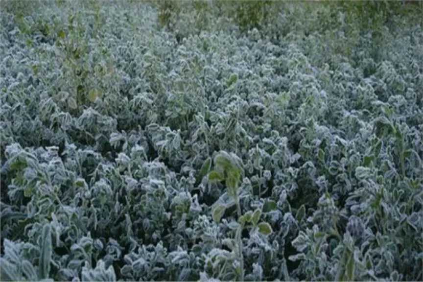 ”تغيّر المناخ” يحذّر من شتاء أشد برودة وتقلبات حادة تؤثر على المحاصيل والمواطنين