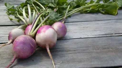 تعرف على فوائد اللفت وأضرار الإفراط في تناوله