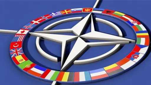 نائبة أمين عام الناتو تؤكد من البرتغال أولوية تعزيز الدفاع والشراكة مع الاتحاد الأوروبي