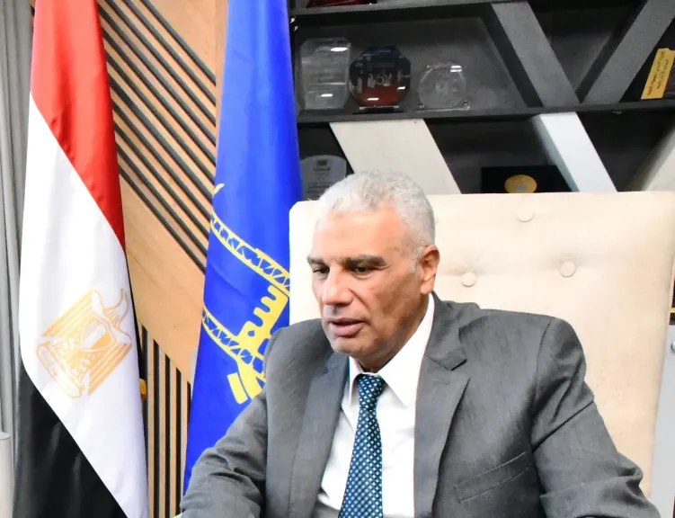 محافظ أسوان