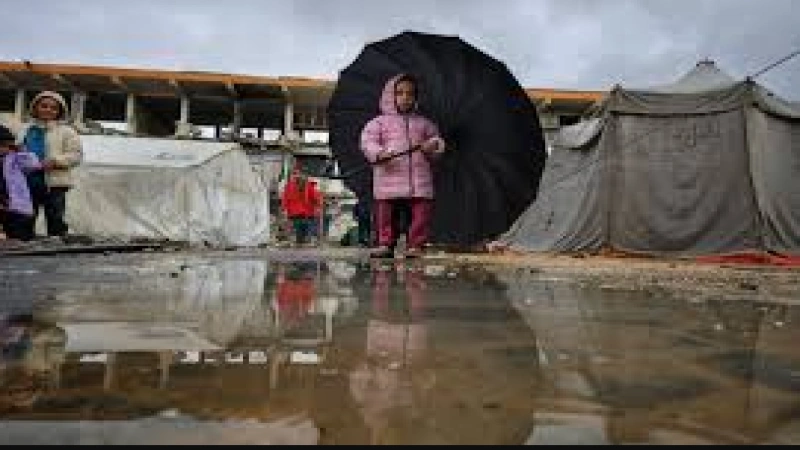 صورة أرشيفية