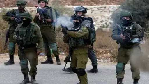 قوات الاحتلال تواصل الاعتداء على الأراضي الفلسطينية في محاولة لتهويدها