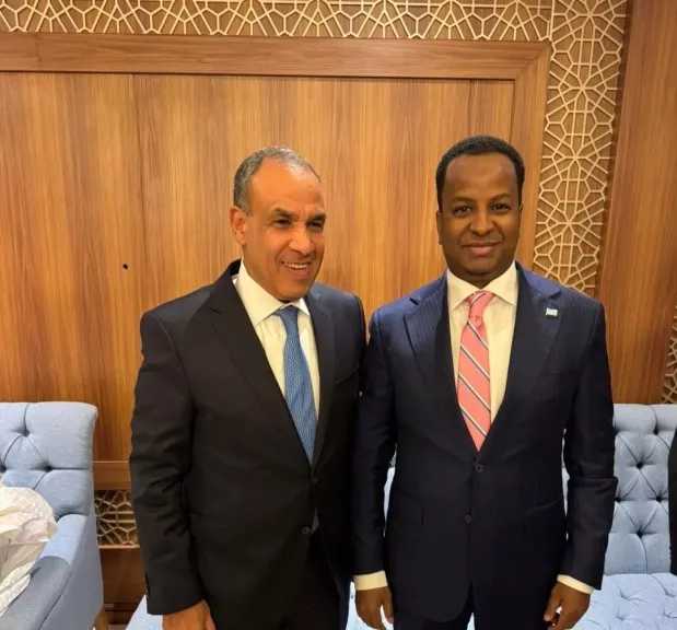 وزير الخارجية يؤكد لنظيره الصومالي دعم مصر استقرار بلاده