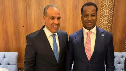 وزير الخارجية يؤكد لنظيره الصومالي دعم مصر استقرار... وزير الخارجية يؤكد لنظيره الصومالي دعم مصر استقرار بلاده