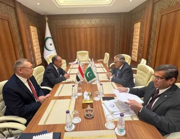 وزير الخارجية ونظيره الباكستاني يبحثان تطوير العلاقات المشتركة بين البلدين