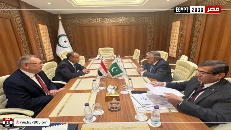 وزير الخارجية ونظيره الباكستاني