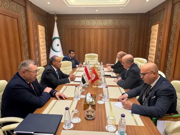 عبد العاطي يبحث مع نظيره التونسي التطورات على الساحة الإقليمية