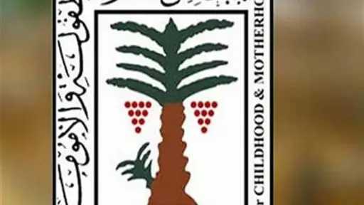 المجلس القومي للأمومة والطفولة يدق ناقوس الخطر بشأن ألعاب الأطفال الإلكترونية