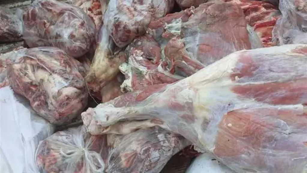 بيطرى المنيا: ضبط 252 كجم لحوم غير صالحة ولحوم مذبوحة خارج المجازر
