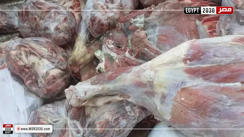 صورة رشيفية