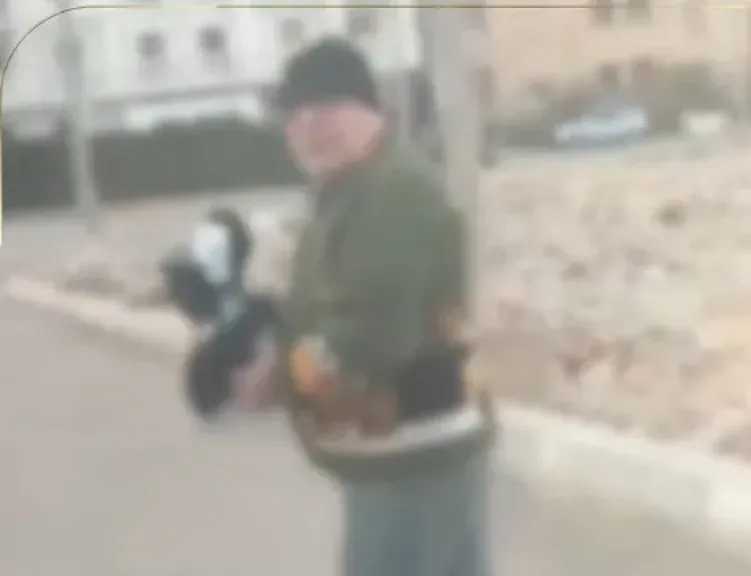 الأمن يكشف ملابسات فيديو الزعم بإلقاء مادة كاوية على سيدة في القطامية بسبب إطعام الكلاب