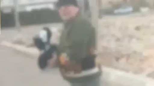 الأمن يكشف ملابسات فيديو الزعم بإلقاء مادة كاوية على سيدة في القطامية بسبب إطعام الكلاب